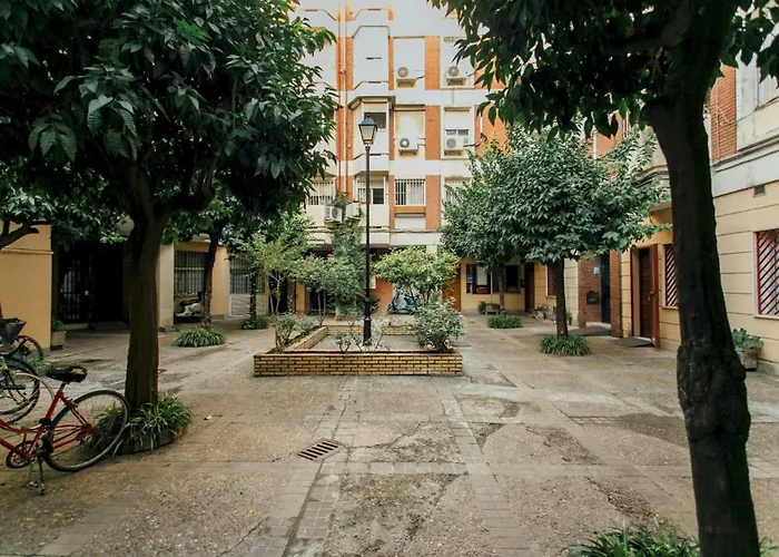 Modern In For Largue Groups Sevilla