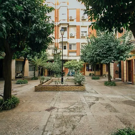 Wide And Diaphanous- 3bd 2bth- Alcazar Sevilla